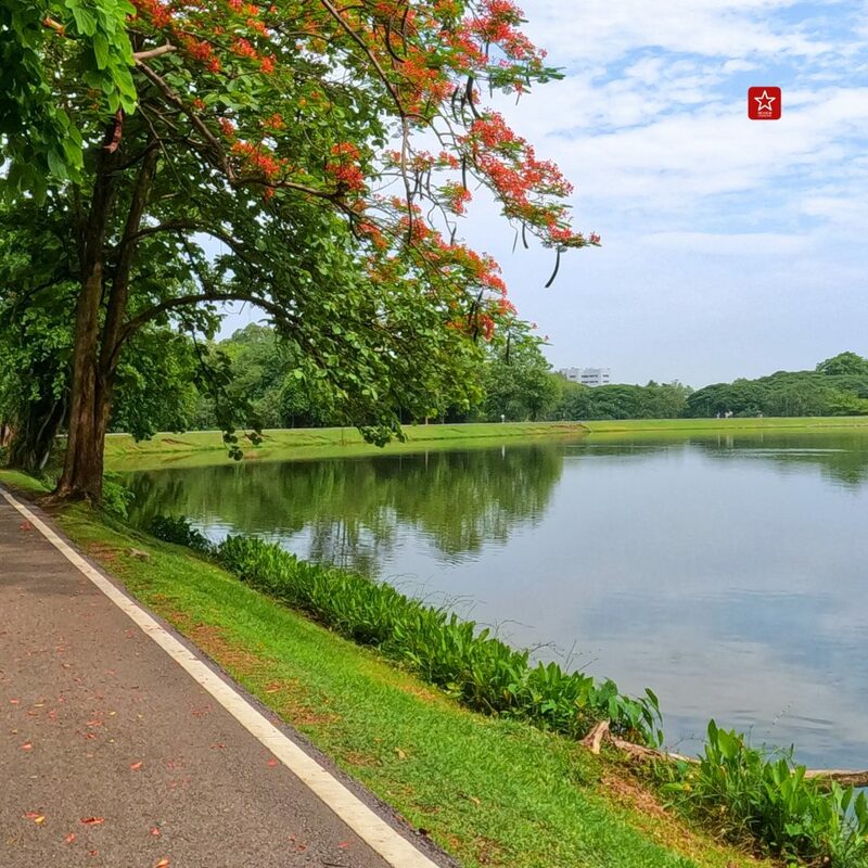 onedaytrip, ลานควายยิ้ม, อ่างเก็บน้ำกาแล, อ่างเก็บน้ำเชียงใหม่, อ่างเก็บน้ำแม่เหียะ, อ่างแก้ว มช., เดินเที่ยว, เดินเที่ยวเชียงใหม่, เที่ยวเชียงใหม่, เที่ยวเชียงใหม่หน้าฝน, เแลนด์มาร์ค, แลนด์มาร์คเชียงใหม่, เดินเที่ยว เล่น 3 อ่าง ในย่านเดียวที่เชียงใหม่!