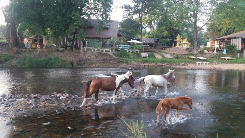 นครนายก, top 7+ ที่พักนครนายกติดน้ำ พร้อมกิจกรรม ใกล้จุดล่องแก่ง