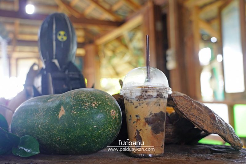 เที่ยวแพร่, คาเฟ่แพร่, ร้านกาแฟแพร่, top 20+ คาเฟ่แพร่ เมืองล้านนาชิค จิบกาแฟ เติมพลัง แชะรูปสวย บอกต่อความประทับใจ