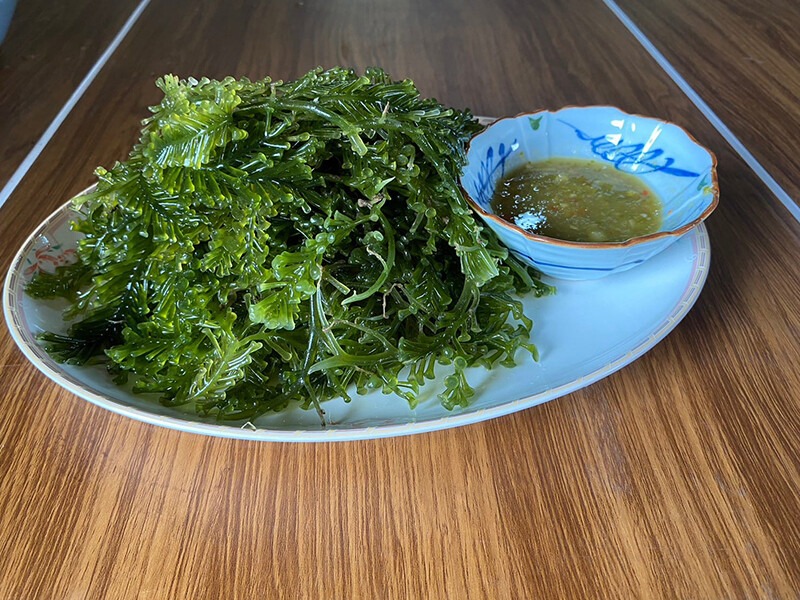 top 7+ ร้านอาหารสตูล 2567 พิกัดร้านอร่อย หลากหลายเมนู