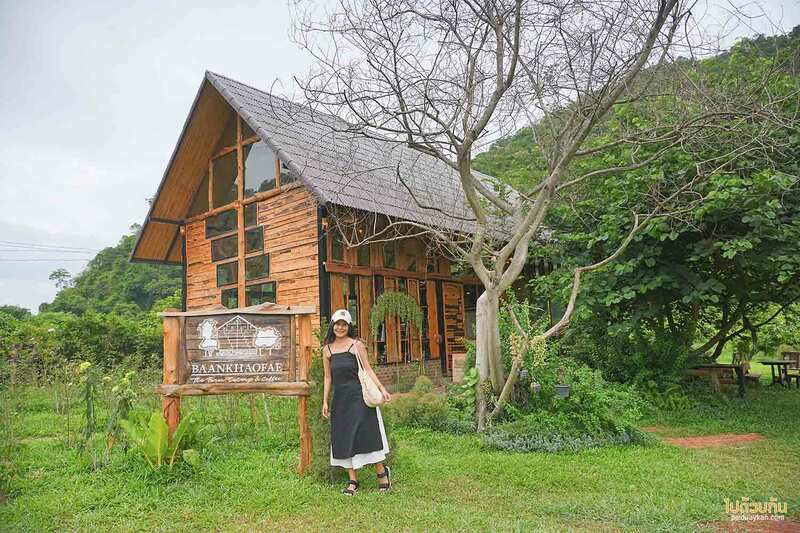 Baan Khao Fae&nbsp;บ้านข้าวแฝ่&nbsp;คาเฟ่กลางสวนมะม่วง สูดอากาศบริสุทธิ์ ชมวิวขุนเขา