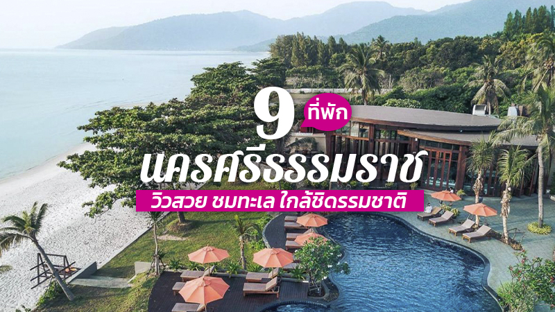 1. จุฬาบีช ขนอม รีสอร์ท (Chula beach khanom), 2. สิชล เตโซโร (Sichon Tesoro), 3. อาวา รีสอร์ท แอนด์ สปา (Aava Resort &amp; Spa), 4. ขนอม บีช รีสอร์ท แอนด์ สปา (Khanom Beach Resort &amp; Spa), 5. เดอะ บูทีค ขนอม (The Boutique Khanom), 6. สิชล คาบาน่า บีช รีสอร์ท (Sichon Cabana Beach Resort), 7. เดอะพีพี บีช รีสอร์ท ท่าศาลา (The PP.Beach Resort and Hotel Thasala), 8. ขนอม ซีบีซ รีสอร์ท (Khanom Sea Beach Resort), 9. บ้านท้องชิง รีสอร์ท (Baan Thong Ching Resort), Top 9+ ที่พักนครศรีธรรมราช 2567 วิวสวย ชมทะเล ใกล้ชิดรรมชาติ