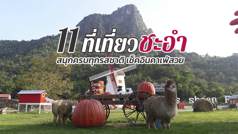 Top 11+ ที่เที่ยวชะอำ 2567 ที่เที่ยวเปิดใหม่ พาลูกเที่ยวชะอำ เล่นน้ำทะเล นั่งชิลคาเฟ่สวย
