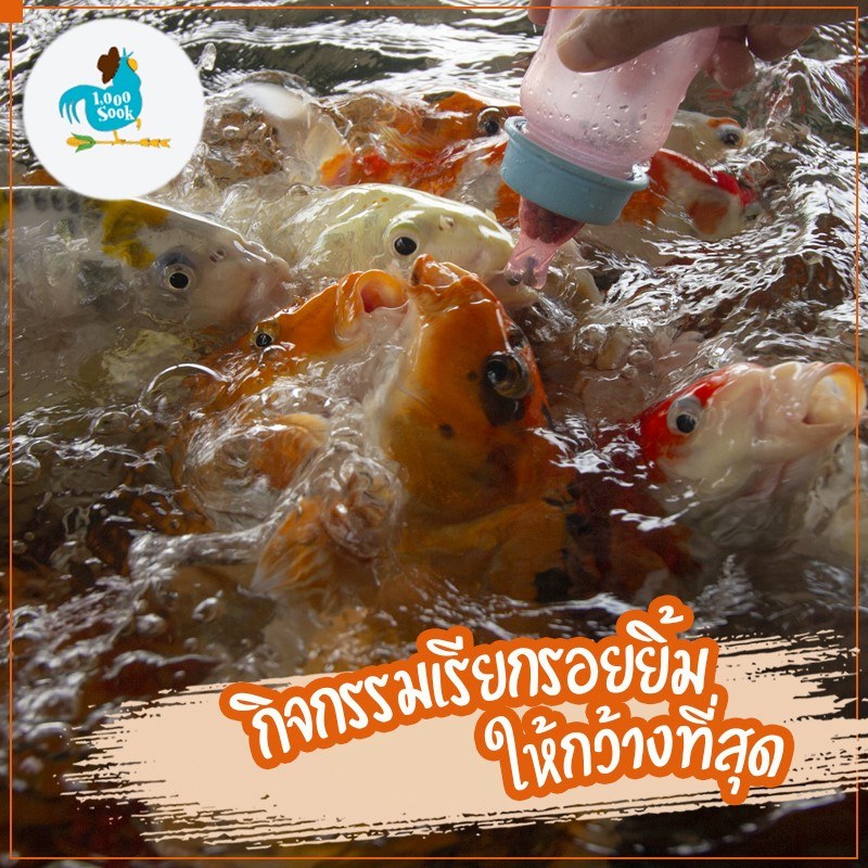 ชะอำ, เพชรบุรี, top 11+ ที่เที่ยวชะอำ 2567 ที่เที่ยวเปิดใหม่ พาลูกเที่ยวชะอำ เล่นน้ำทะเล นั่งชิลคาเฟ่สวย