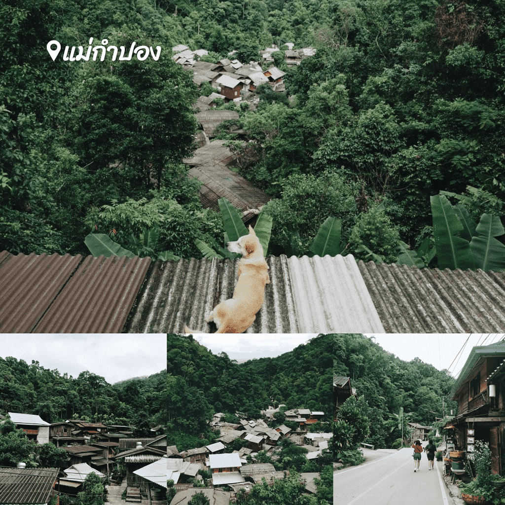 รวม 4 หมู่บ้านกลางป่า เชียงใหม่ น่าเที่ยว สุดแสนสโลว์ไลฟ์