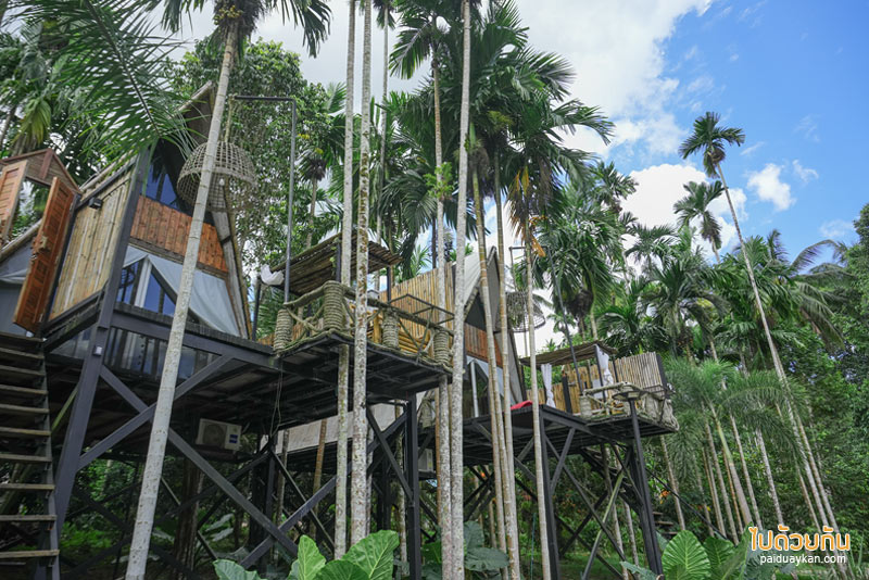เที่ยวเขาสก, เที่ยวสุราษฎร์, bridge hill café เขาสก, ที่พักเขาสก, คาเฟ่เขาสก, สูดอากาศบริสุทธิ์ มองวิวเขา bridge hill café เขาสก