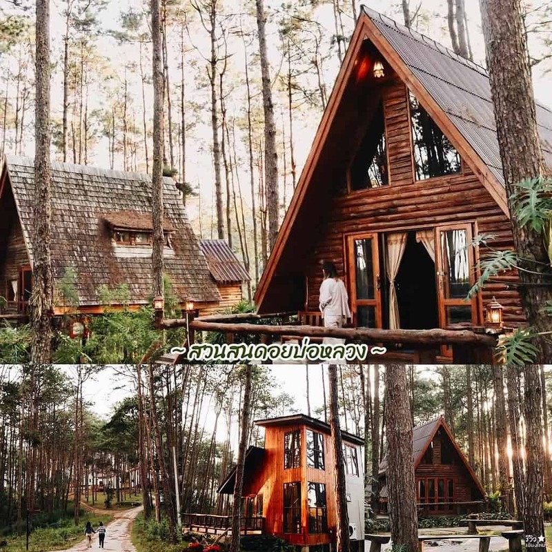 one nimman, ขุนช่างเคี่ยน, ที่เที่ยวเชียงใหม่, ที่เที่ยวเชียงใหม่ธรรมชาติ, ประตูท่าแพ, ม่อนแจ่ม, วัดพระธาตุดอยสุเทพ, 30 พิกัด ที่เที่ยวเชียงใหม่ ยอดฮิต ระดับตำนาน ตามกันมาเที่ยว
