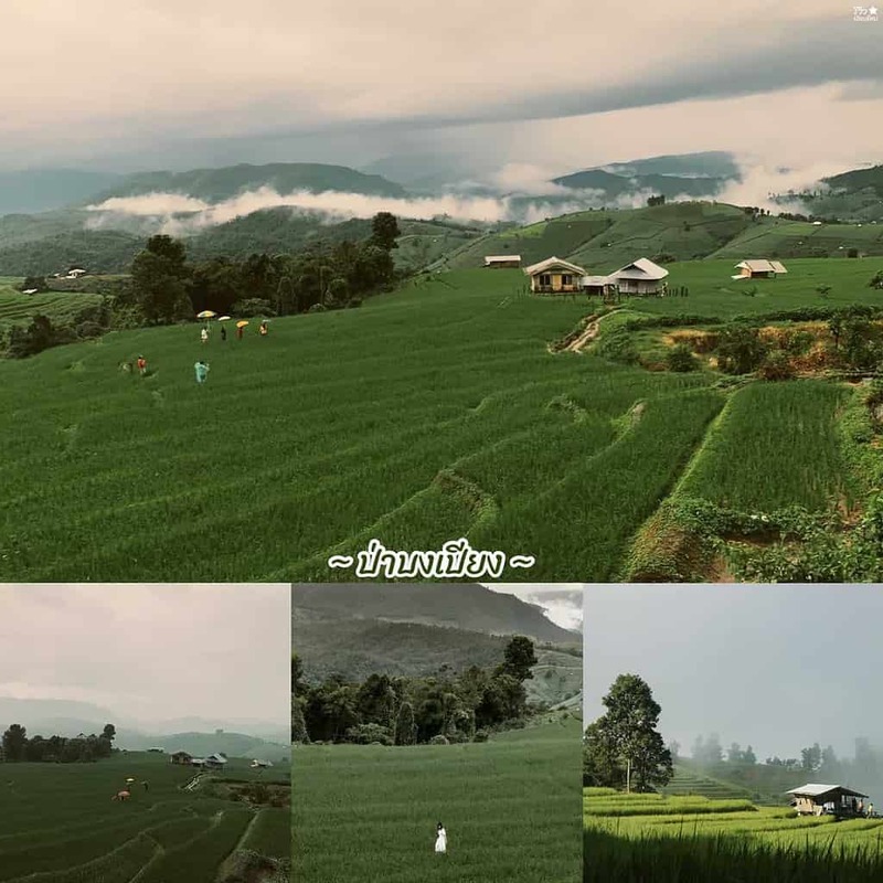 one nimman, ขุนช่างเคี่ยน, ที่เที่ยวเชียงใหม่, ที่เที่ยวเชียงใหม่ธรรมชาติ, ประตูท่าแพ, ม่อนแจ่ม, วัดพระธาตุดอยสุเทพ, 30 พิกัด ที่เที่ยวเชียงใหม่ ยอดฮิต ระดับตำนาน ตามกันมาเที่ยว