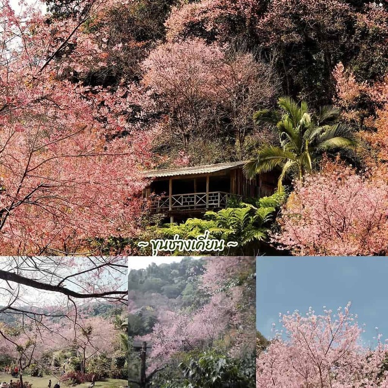 one nimman, ขุนช่างเคี่ยน, ที่เที่ยวเชียงใหม่, ที่เที่ยวเชียงใหม่ธรรมชาติ, ประตูท่าแพ, ม่อนแจ่ม, วัดพระธาตุดอยสุเทพ, 30 พิกัด ที่เที่ยวเชียงใหม่ ยอดฮิต ระดับตำนาน ตามกันมาเที่ยว