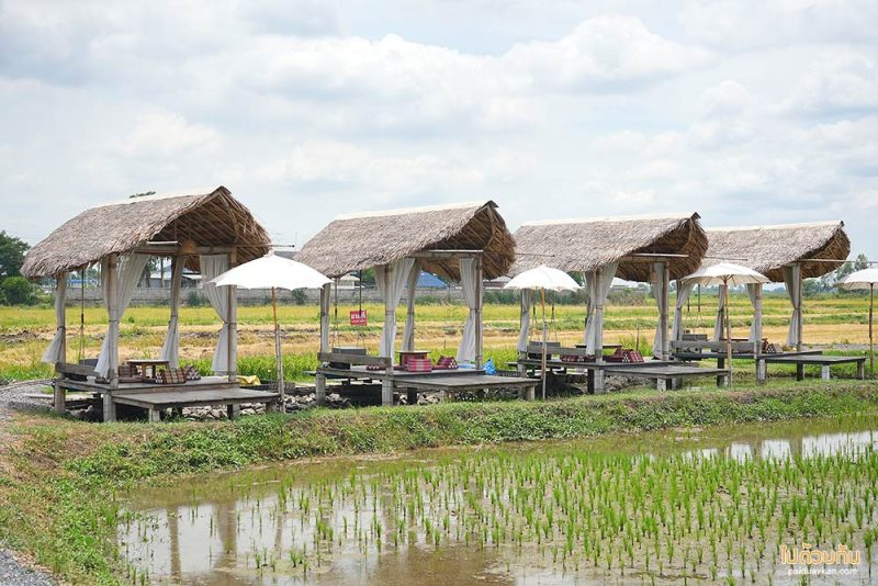 คาเฟ่อยุธยา, ร้านกาแฟอยุธยา, รักษ์นา อยุธยา, นั่งรถไฟจิ๋วอยุธยา ชมวิวทุ่งนา ที่รักษ์นา คาเฟ่