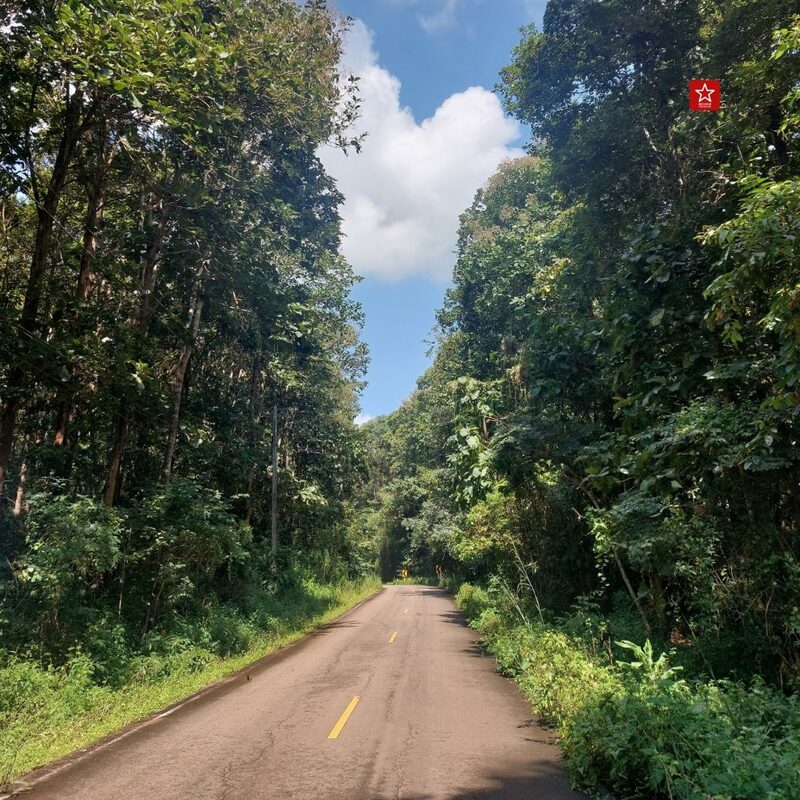 เที่ยวเชียงใหม่ สะพานแขวนเชื่อมใจ แม่กวง ป่าสักงาม