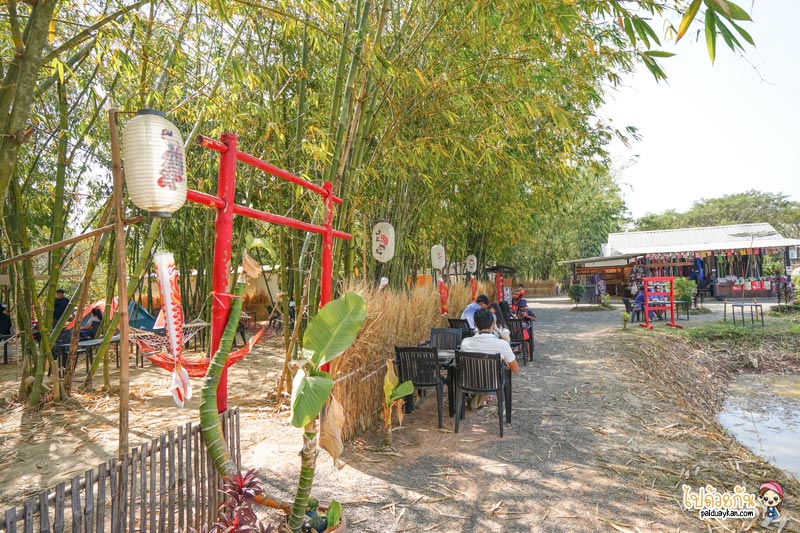 ร้านกาแฟวังน้ำเขียว, คาเฟ่วังน้ำเขียว, top 10+ คาเฟ่วังน้ำเขียว วิวสวย มุมดี  ถูกใจสายคาเฟ่