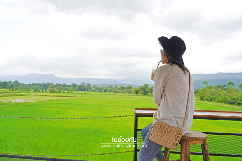 เที่ยวนครนายก, ร้านกาแฟนครนายก, คาเฟ่นครนายก, ภูอิงนาคาเฟ่ นครนายก, ร้านกาแฟทุ่งนา นครนายก, ภูอิงนาคาเฟ่  คาเฟ่ริมทุ่งนา มีภูเขาล้อมรอบ