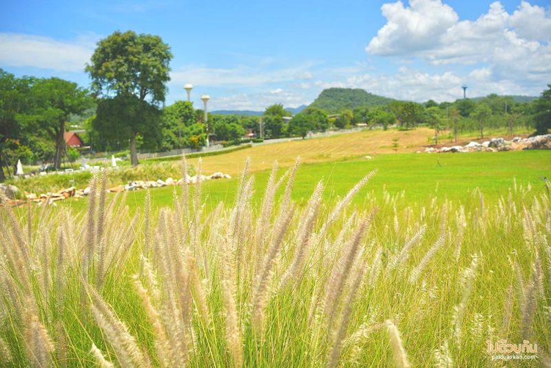 เที่ยวเขาใหญ่, คาเฟ่เขาใหญ่, monogram cafe khaoyai, โมโนแกรม คาเฟ่, monogram cafe khaoyai คาเฟ่มินิมอลเขาใหญ่ โทนสีขาว