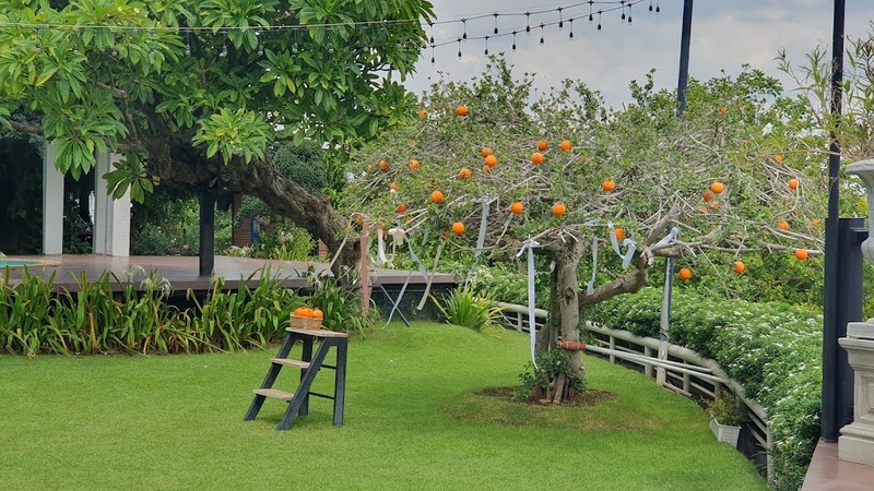 99 คาเฟ่, ninety nine cafe&chillbar, กาแฟเมืองเหน่อ, กินแฟ ดูฟาย, ที่เที่ยวสุพรรณ, ที่เที่ยวสุพรรณ 2023, ที่เที่ยวสุพรรณ 2566, ที่เที่ยวสุพรรณบุรี, ที่เที่ยวสุพรรณบุรี 2023, ที่เที่ยวสุพรรณบุรี 2566, น้ำตกพุม่วง, บึงฉวาก, ปางอุ๋งสุพรรณบุรี, พระบรมราชานุสรณ์ดอนเจดีย์, พิพิธภัณฑ์ลูกหลานพันธุ์มังกร, ยอดเขาเทวดา, วนอุทยานแห่งชาติพุม่วง, วัดชื่อดังสุพรรณบุรี, วัดป่าเลไลยก์วรวิหาร, วัดเขาดิน, วัดเขาดีสลัก, วัดเขาทำเทียม, วัดไผ่โรงวัว, สกายวอล์คสุพรรณบุรี, สวนเฉลิมภัทรราชินี, สวนแสดงพันธุ์สัตว์น้ำ สุพรรณบุรี, สวนแสดงพันธุ์สัตว์น้ำบึงฉวากเฉลิมพระเกียรติ, สามชุก, สามชุก ตลาดร้อยปี, สุพรรณบุรี, หมู่บ้านอนุรักษ์ควายไทย, หอคอยบรรหาร-แจ่มใส, อ่างเก็บน้ำลำตะเพิน, อ่างเก็บน้ำหุบเขาวง, อุทยานมังกรสวรรค์, อุทยานแห่งชาติพุเตย, เขื่อนกระเสียว, เมืองโบราณอู่ทอง, เสบียงนา คาเฟ่, ไร่ชมอิน, top 20+ ที่เที่ยวสุพรรณบุรี [กรกฎาคม 2024] สัมผัสธรรมชาติและวิธีชีวิตที่เรียบง่าย เมืองคนเหน่อ ไม่ไกลกรุงเทพ
