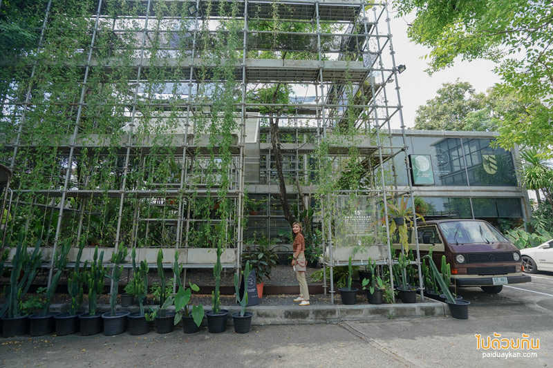 Plant me on the moon คาเฟ่ต้นไม้ ในโรงเรือนสุดเท่