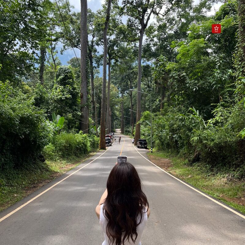 เที่ยวฤดูฝน เดินเล่นป่าสน แช่ออนเซ็นบนดอย