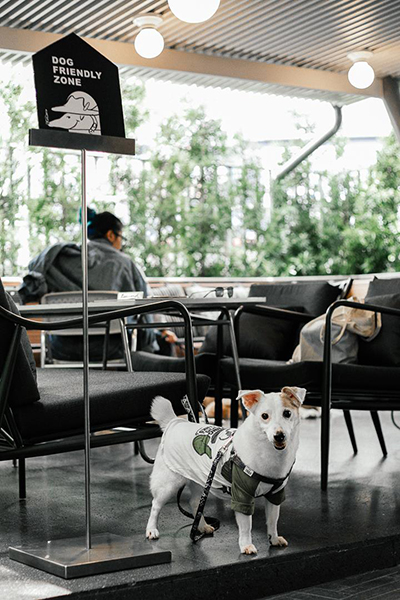 คาเฟ่ทองหล่อ บรรยากาศน่านั่ง น่าออกเดท ชิลแบบหลากสไตล์ ใกล้บีทีเอส (bts) ทองหล่อ