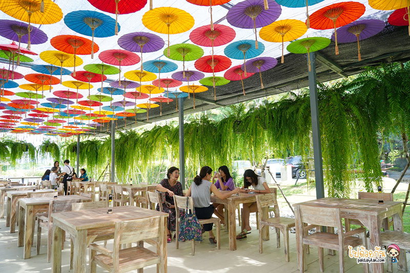 ร้านอาหารเชียงใหม่, chapulin food & cafe, ชะพูลิน ฟู๊ด แอนด์ คาเฟ่, คาเฟ่สันกำแพง, ร้านอาหารสันกำแพง, คาเฟ่เชียงใหม่, ชะพูลิน ฟู๊ด แอนด์ คาเฟ่ ถ่ายรูปกับบันไดสวรรค์สุดชิค