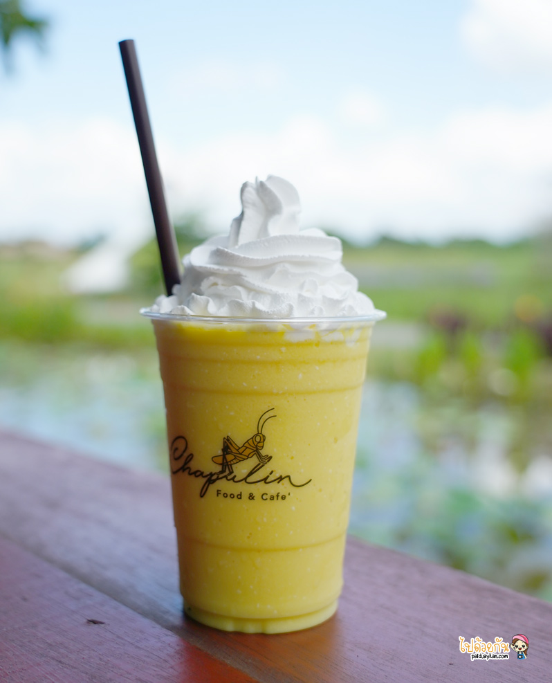 ร้านอาหารเชียงใหม่, chapulin food & cafe, ชะพูลิน ฟู๊ด แอนด์ คาเฟ่, คาเฟ่สันกำแพง, ร้านอาหารสันกำแพง, คาเฟ่เชียงใหม่, ชะพูลิน ฟู๊ด แอนด์ คาเฟ่ ถ่ายรูปกับบันไดสวรรค์สุดชิค