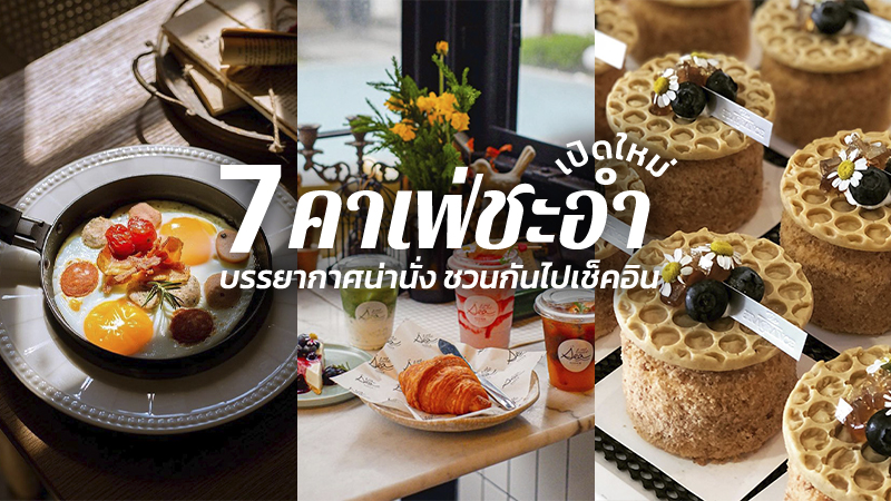 Top 7+ คาเฟ่ชะอำ 2567 คาเฟ่เปิดใหม่ ร้านกาแฟสวยๆ ชวนกันไปเช็คอิน