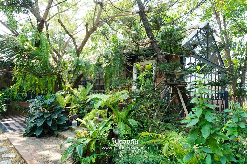 ร้านอาหารกาญจนบุรี, ร้านกาแฟกาญจนบุรี, คาเฟ่กาญจนบุรี, ravi vira กาญจนบุรี, ravi vira กาญจนบุรี คาเฟ่สไตล์ยุโรปวินเทจ ร่มรื่นด้วยสวนสวย