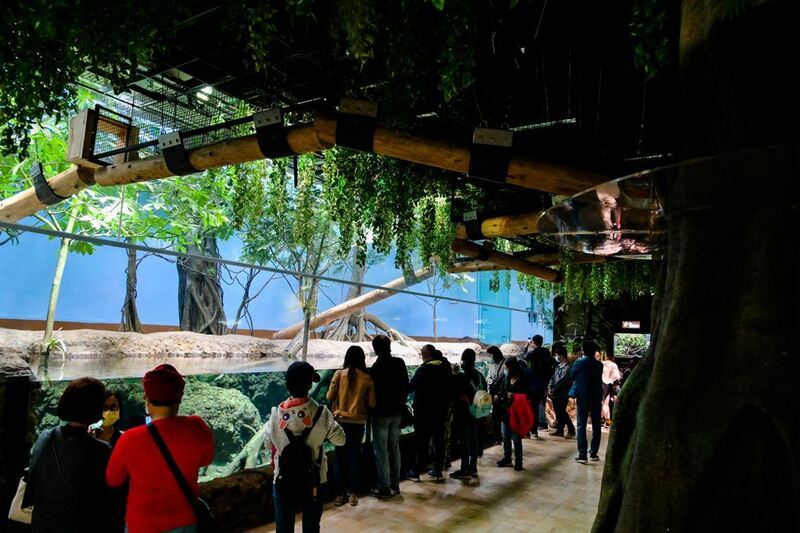 cold zone freezing, coral drive, fomosa, gloria out, gloria outlet, have fun with others, interactive, more and more jellyfish, penguin adventure, rainforest adventure, taoyuan, virtual and real interaction, walk in the jungle, warm sea vitality, xcafe by pronto, xfun, xpark, xpark aquarium, การแสดงโชว์สัตว์ไต้หวัน, ขนมปังเพนกวิน, ตู้แมงกระพรุน, ที่เที่ยวไต้หวัน, ที่เที่ยวไต้หวัน 2024, ที่เที่ยวไต้หวัน 2567, พิพิธภัณฑ์สัตว์น้ำ, พิพิธภัณฑ์สัตว์น้ำไต้หวัน, สนามบินเถาหยวน, อควาเรี่ยมไต้หวัน, เถาหยวน, เที่ยวไต้หวัน, เที่ยวไต้หวัน 2024, เที่ยวไต้หวัน 2567, เพนกวินลาเต้, แมงกระพรุนไต้หวัน, โชว์สิงโตทะเล, ไต้หวันเที่ยวไหนดี, พาเที่ยว xpark aquarium ไต้หวัน 2024 ชมสัตว์น้ำนานาชนิดและล่องลอยไปกับห้องแมงกระพรุน