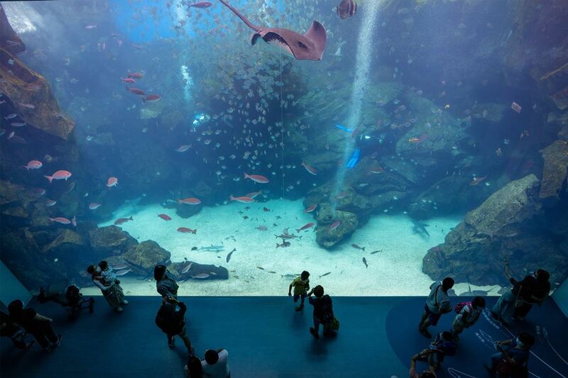 cold zone freezing, coral drive, fomosa, gloria out, gloria outlet, have fun with others, interactive, more and more jellyfish, penguin adventure, rainforest adventure, taoyuan, virtual and real interaction, walk in the jungle, warm sea vitality, xcafe by pronto, xfun, xpark, xpark aquarium, การแสดงโชว์สัตว์ไต้หวัน, ขนมปังเพนกวิน, ตู้แมงกระพรุน, ที่เที่ยวไต้หวัน, ที่เที่ยวไต้หวัน 2024, ที่เที่ยวไต้หวัน 2567, พิพิธภัณฑ์สัตว์น้ำ, พิพิธภัณฑ์สัตว์น้ำไต้หวัน, สนามบินเถาหยวน, อควาเรี่ยมไต้หวัน, เถาหยวน, เที่ยวไต้หวัน, เที่ยวไต้หวัน 2024, เที่ยวไต้หวัน 2567, เพนกวินลาเต้, แมงกระพรุนไต้หวัน, โชว์สิงโตทะเล, ไต้หวันเที่ยวไหนดี, พาเที่ยว xpark aquarium ไต้หวัน 2024 ชมสัตว์น้ำนานาชนิดและล่องลอยไปกับห้องแมงกระพรุน