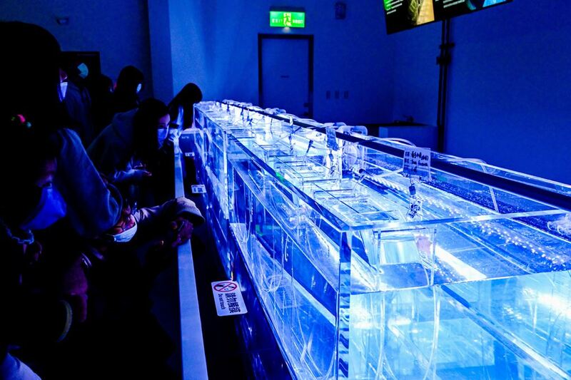 cold zone freezing, coral drive, fomosa, gloria out, gloria outlet, have fun with others, interactive, more and more jellyfish, penguin adventure, rainforest adventure, taoyuan, virtual and real interaction, walk in the jungle, warm sea vitality, xcafe by pronto, xfun, xpark, xpark aquarium, การแสดงโชว์สัตว์ไต้หวัน, ขนมปังเพนกวิน, ตู้แมงกระพรุน, ที่เที่ยวไต้หวัน, ที่เที่ยวไต้หวัน 2024, ที่เที่ยวไต้หวัน 2567, พิพิธภัณฑ์สัตว์น้ำ, พิพิธภัณฑ์สัตว์น้ำไต้หวัน, สนามบินเถาหยวน, อควาเรี่ยมไต้หวัน, เถาหยวน, เที่ยวไต้หวัน, เที่ยวไต้หวัน 2024, เที่ยวไต้หวัน 2567, เพนกวินลาเต้, แมงกระพรุนไต้หวัน, โชว์สิงโตทะเล, ไต้หวันเที่ยวไหนดี, พาเที่ยว xpark aquarium ไต้หวัน 2024 ชมสัตว์น้ำนานาชนิดและล่องลอยไปกับห้องแมงกระพรุน