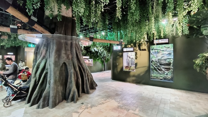 cold zone freezing, coral drive, fomosa, gloria out, gloria outlet, have fun with others, interactive, more and more jellyfish, penguin adventure, rainforest adventure, taoyuan, virtual and real interaction, walk in the jungle, warm sea vitality, xcafe by pronto, xfun, xpark, xpark aquarium, การแสดงโชว์สัตว์ไต้หวัน, ขนมปังเพนกวิน, ตู้แมงกระพรุน, ที่เที่ยวไต้หวัน, ที่เที่ยวไต้หวัน 2024, ที่เที่ยวไต้หวัน 2567, พิพิธภัณฑ์สัตว์น้ำ, พิพิธภัณฑ์สัตว์น้ำไต้หวัน, สนามบินเถาหยวน, อควาเรี่ยมไต้หวัน, เถาหยวน, เที่ยวไต้หวัน, เที่ยวไต้หวัน 2024, เที่ยวไต้หวัน 2567, เพนกวินลาเต้, แมงกระพรุนไต้หวัน, โชว์สิงโตทะเล, ไต้หวันเที่ยวไหนดี, พาเที่ยว xpark aquarium ไต้หวัน 2024 ชมสัตว์น้ำนานาชนิดและล่องลอยไปกับห้องแมงกระพรุน