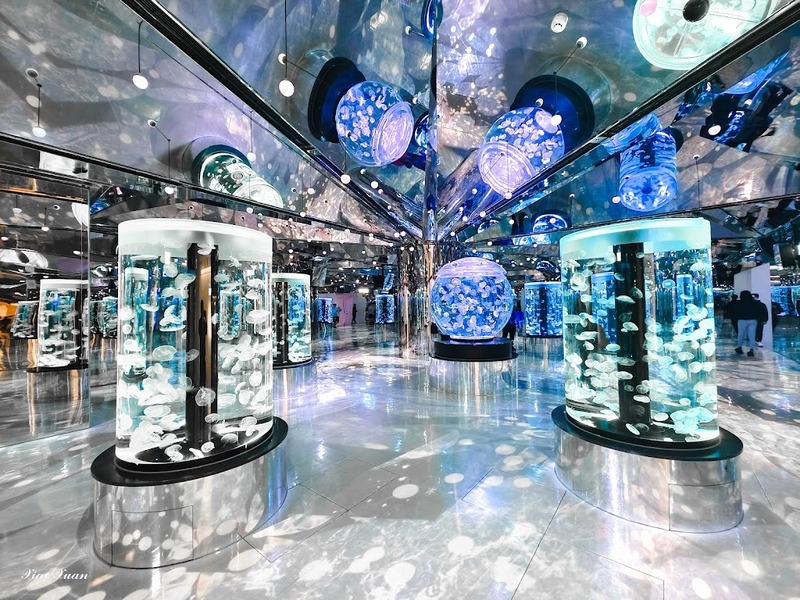 cold zone freezing, coral drive, fomosa, gloria out, gloria outlet, have fun with others, interactive, more and more jellyfish, penguin adventure, rainforest adventure, taoyuan, virtual and real interaction, walk in the jungle, warm sea vitality, xcafe by pronto, xfun, xpark, xpark aquarium, การแสดงโชว์สัตว์ไต้หวัน, ขนมปังเพนกวิน, ตู้แมงกระพรุน, ที่เที่ยวไต้หวัน, ที่เที่ยวไต้หวัน 2024, ที่เที่ยวไต้หวัน 2567, พิพิธภัณฑ์สัตว์น้ำ, พิพิธภัณฑ์สัตว์น้ำไต้หวัน, สนามบินเถาหยวน, อควาเรี่ยมไต้หวัน, เถาหยวน, เที่ยวไต้หวัน, เที่ยวไต้หวัน 2024, เที่ยวไต้หวัน 2567, เพนกวินลาเต้, แมงกระพรุนไต้หวัน, โชว์สิงโตทะเล, ไต้หวันเที่ยวไหนดี, พาเที่ยว xpark aquarium ไต้หวัน 2024 ชมสัตว์น้ำนานาชนิดและล่องลอยไปกับห้องแมงกระพรุน