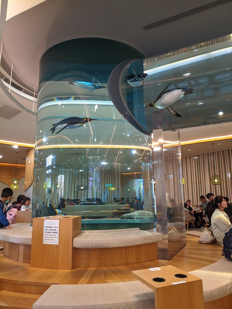 cold zone freezing, coral drive, fomosa, gloria out, gloria outlet, have fun with others, interactive, more and more jellyfish, penguin adventure, rainforest adventure, taoyuan, virtual and real interaction, walk in the jungle, warm sea vitality, xcafe by pronto, xfun, xpark, xpark aquarium, การแสดงโชว์สัตว์ไต้หวัน, ขนมปังเพนกวิน, ตู้แมงกระพรุน, ที่เที่ยวไต้หวัน, ที่เที่ยวไต้หวัน 2024, ที่เที่ยวไต้หวัน 2567, พิพิธภัณฑ์สัตว์น้ำ, พิพิธภัณฑ์สัตว์น้ำไต้หวัน, สนามบินเถาหยวน, อควาเรี่ยมไต้หวัน, เถาหยวน, เที่ยวไต้หวัน, เที่ยวไต้หวัน 2024, เที่ยวไต้หวัน 2567, เพนกวินลาเต้, แมงกระพรุนไต้หวัน, โชว์สิงโตทะเล, ไต้หวันเที่ยวไหนดี, พาเที่ยว xpark aquarium ไต้หวัน 2024 ชมสัตว์น้ำนานาชนิดและล่องลอยไปกับห้องแมงกระพรุน