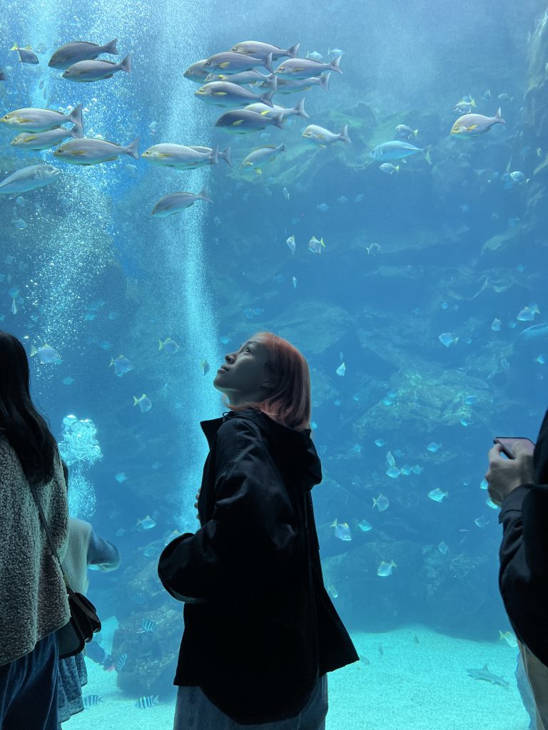 cold zone freezing, coral drive, fomosa, gloria out, gloria outlet, have fun with others, interactive, more and more jellyfish, penguin adventure, rainforest adventure, taoyuan, virtual and real interaction, walk in the jungle, warm sea vitality, xcafe by pronto, xfun, xpark, xpark aquarium, การแสดงโชว์สัตว์ไต้หวัน, ขนมปังเพนกวิน, ตู้แมงกระพรุน, ที่เที่ยวไต้หวัน, ที่เที่ยวไต้หวัน 2024, ที่เที่ยวไต้หวัน 2567, พิพิธภัณฑ์สัตว์น้ำ, พิพิธภัณฑ์สัตว์น้ำไต้หวัน, สนามบินเถาหยวน, อควาเรี่ยมไต้หวัน, เถาหยวน, เที่ยวไต้หวัน, เที่ยวไต้หวัน 2024, เที่ยวไต้หวัน 2567, เพนกวินลาเต้, แมงกระพรุนไต้หวัน, โชว์สิงโตทะเล, ไต้หวันเที่ยวไหนดี, พาเที่ยว xpark aquarium ไต้หวัน 2024 ชมสัตว์น้ำนานาชนิดและล่องลอยไปกับห้องแมงกระพรุน