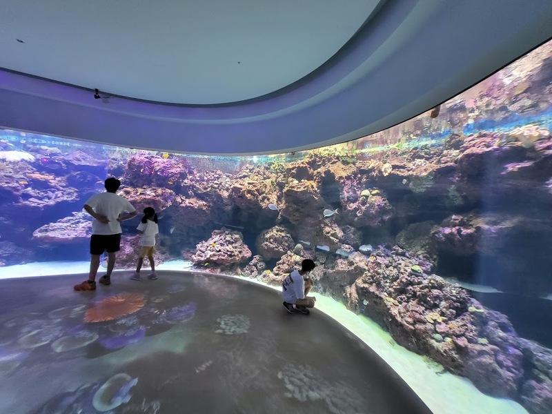 cold zone freezing, coral drive, fomosa, gloria out, gloria outlet, have fun with others, interactive, more and more jellyfish, penguin adventure, rainforest adventure, taoyuan, virtual and real interaction, walk in the jungle, warm sea vitality, xcafe by pronto, xfun, xpark, xpark aquarium, การแสดงโชว์สัตว์ไต้หวัน, ขนมปังเพนกวิน, ตู้แมงกระพรุน, ที่เที่ยวไต้หวัน, ที่เที่ยวไต้หวัน 2024, ที่เที่ยวไต้หวัน 2567, พิพิธภัณฑ์สัตว์น้ำ, พิพิธภัณฑ์สัตว์น้ำไต้หวัน, สนามบินเถาหยวน, อควาเรี่ยมไต้หวัน, เถาหยวน, เที่ยวไต้หวัน, เที่ยวไต้หวัน 2024, เที่ยวไต้หวัน 2567, เพนกวินลาเต้, แมงกระพรุนไต้หวัน, โชว์สิงโตทะเล, ไต้หวันเที่ยวไหนดี, พาเที่ยว xpark aquarium ไต้หวัน 2024 ชมสัตว์น้ำนานาชนิดและล่องลอยไปกับห้องแมงกระพรุน