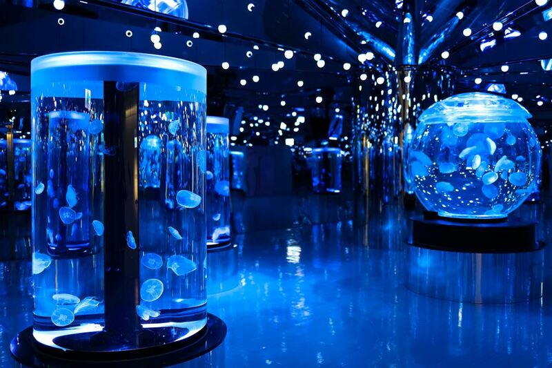 cold zone freezing, coral drive, fomosa, gloria out, gloria outlet, have fun with others, interactive, more and more jellyfish, penguin adventure, rainforest adventure, taoyuan, virtual and real interaction, walk in the jungle, warm sea vitality, xcafe by pronto, xfun, xpark, xpark aquarium, การแสดงโชว์สัตว์ไต้หวัน, ขนมปังเพนกวิน, ตู้แมงกระพรุน, ที่เที่ยวไต้หวัน, ที่เที่ยวไต้หวัน 2024, ที่เที่ยวไต้หวัน 2567, พิพิธภัณฑ์สัตว์น้ำ, พิพิธภัณฑ์สัตว์น้ำไต้หวัน, สนามบินเถาหยวน, อควาเรี่ยมไต้หวัน, เถาหยวน, เที่ยวไต้หวัน, เที่ยวไต้หวัน 2024, เที่ยวไต้หวัน 2567, เพนกวินลาเต้, แมงกระพรุนไต้หวัน, โชว์สิงโตทะเล, ไต้หวันเที่ยวไหนดี, พาเที่ยว xpark aquarium ไต้หวัน 2024 ชมสัตว์น้ำนานาชนิดและล่องลอยไปกับห้องแมงกระพรุน