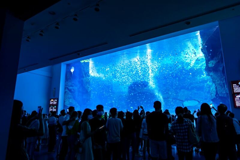 cold zone freezing, coral drive, fomosa, gloria out, gloria outlet, have fun with others, interactive, more and more jellyfish, penguin adventure, rainforest adventure, taoyuan, virtual and real interaction, walk in the jungle, warm sea vitality, xcafe by pronto, xfun, xpark, xpark aquarium, การแสดงโชว์สัตว์ไต้หวัน, ขนมปังเพนกวิน, ตู้แมงกระพรุน, ที่เที่ยวไต้หวัน, ที่เที่ยวไต้หวัน 2024, ที่เที่ยวไต้หวัน 2567, พิพิธภัณฑ์สัตว์น้ำ, พิพิธภัณฑ์สัตว์น้ำไต้หวัน, สนามบินเถาหยวน, อควาเรี่ยมไต้หวัน, เถาหยวน, เที่ยวไต้หวัน, เที่ยวไต้หวัน 2024, เที่ยวไต้หวัน 2567, เพนกวินลาเต้, แมงกระพรุนไต้หวัน, โชว์สิงโตทะเล, ไต้หวันเที่ยวไหนดี, พาเที่ยว xpark aquarium ไต้หวัน 2024 ชมสัตว์น้ำนานาชนิดและล่องลอยไปกับห้องแมงกระพรุน