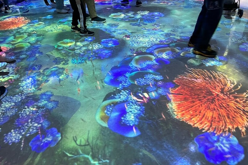 cold zone freezing, coral drive, fomosa, gloria out, gloria outlet, have fun with others, interactive, more and more jellyfish, penguin adventure, rainforest adventure, taoyuan, virtual and real interaction, walk in the jungle, warm sea vitality, xcafe by pronto, xfun, xpark, xpark aquarium, การแสดงโชว์สัตว์ไต้หวัน, ขนมปังเพนกวิน, ตู้แมงกระพรุน, ที่เที่ยวไต้หวัน, ที่เที่ยวไต้หวัน 2024, ที่เที่ยวไต้หวัน 2567, พิพิธภัณฑ์สัตว์น้ำ, พิพิธภัณฑ์สัตว์น้ำไต้หวัน, สนามบินเถาหยวน, อควาเรี่ยมไต้หวัน, เถาหยวน, เที่ยวไต้หวัน, เที่ยวไต้หวัน 2024, เที่ยวไต้หวัน 2567, เพนกวินลาเต้, แมงกระพรุนไต้หวัน, โชว์สิงโตทะเล, ไต้หวันเที่ยวไหนดี, พาเที่ยว xpark aquarium ไต้หวัน 2024 ชมสัตว์น้ำนานาชนิดและล่องลอยไปกับห้องแมงกระพรุน