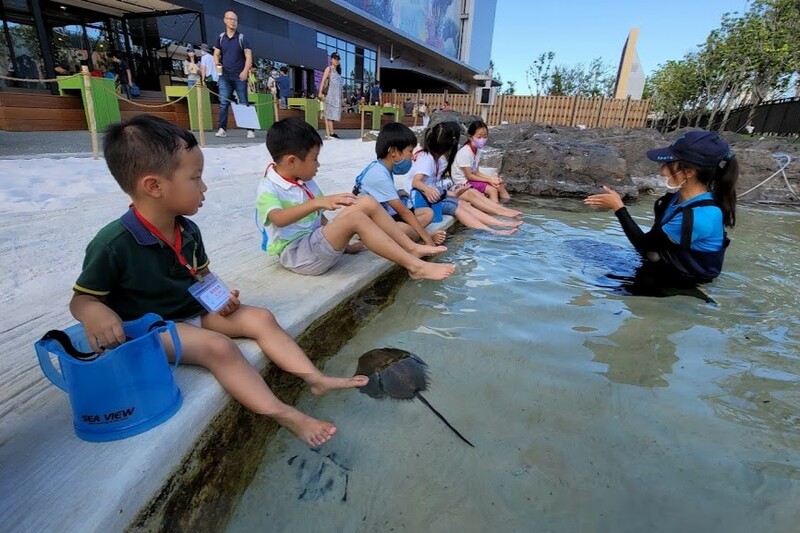 cold zone freezing, coral drive, fomosa, gloria out, gloria outlet, have fun with others, interactive, more and more jellyfish, penguin adventure, rainforest adventure, taoyuan, virtual and real interaction, walk in the jungle, warm sea vitality, xcafe by pronto, xfun, xpark, xpark aquarium, การแสดงโชว์สัตว์ไต้หวัน, ขนมปังเพนกวิน, ตู้แมงกระพรุน, ที่เที่ยวไต้หวัน, ที่เที่ยวไต้หวัน 2024, ที่เที่ยวไต้หวัน 2567, พิพิธภัณฑ์สัตว์น้ำ, พิพิธภัณฑ์สัตว์น้ำไต้หวัน, สนามบินเถาหยวน, อควาเรี่ยมไต้หวัน, เถาหยวน, เที่ยวไต้หวัน, เที่ยวไต้หวัน 2024, เที่ยวไต้หวัน 2567, เพนกวินลาเต้, แมงกระพรุนไต้หวัน, โชว์สิงโตทะเล, ไต้หวันเที่ยวไหนดี, พาเที่ยว xpark aquarium ไต้หวัน 2024 ชมสัตว์น้ำนานาชนิดและล่องลอยไปกับห้องแมงกระพรุน