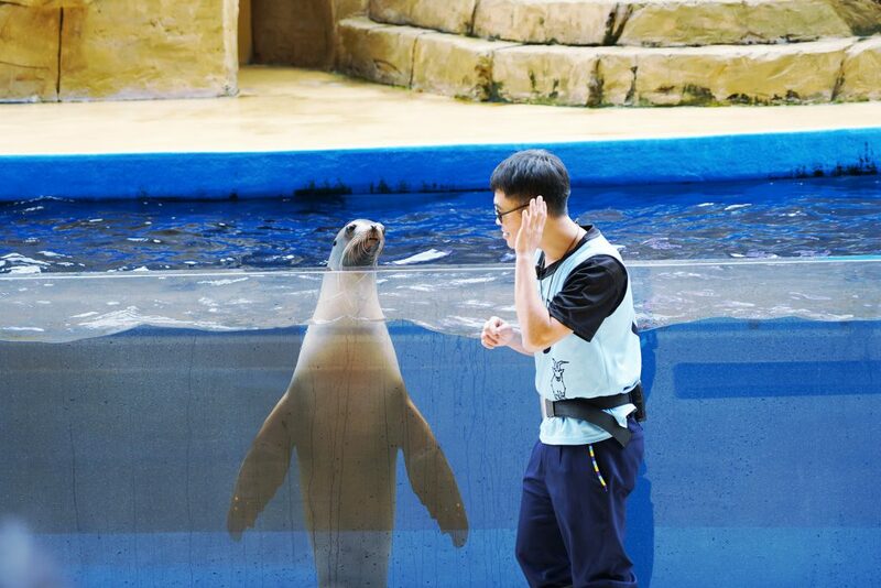 cold zone freezing, coral drive, fomosa, gloria out, gloria outlet, have fun with others, interactive, more and more jellyfish, penguin adventure, rainforest adventure, taoyuan, virtual and real interaction, walk in the jungle, warm sea vitality, xcafe by pronto, xfun, xpark, xpark aquarium, การแสดงโชว์สัตว์ไต้หวัน, ขนมปังเพนกวิน, ตู้แมงกระพรุน, ที่เที่ยวไต้หวัน, ที่เที่ยวไต้หวัน 2024, ที่เที่ยวไต้หวัน 2567, พิพิธภัณฑ์สัตว์น้ำ, พิพิธภัณฑ์สัตว์น้ำไต้หวัน, สนามบินเถาหยวน, อควาเรี่ยมไต้หวัน, เถาหยวน, เที่ยวไต้หวัน, เที่ยวไต้หวัน 2024, เที่ยวไต้หวัน 2567, เพนกวินลาเต้, แมงกระพรุนไต้หวัน, โชว์สิงโตทะเล, ไต้หวันเที่ยวไหนดี, พาเที่ยว xpark aquarium ไต้หวัน 2024 ชมสัตว์น้ำนานาชนิดและล่องลอยไปกับห้องแมงกระพรุน