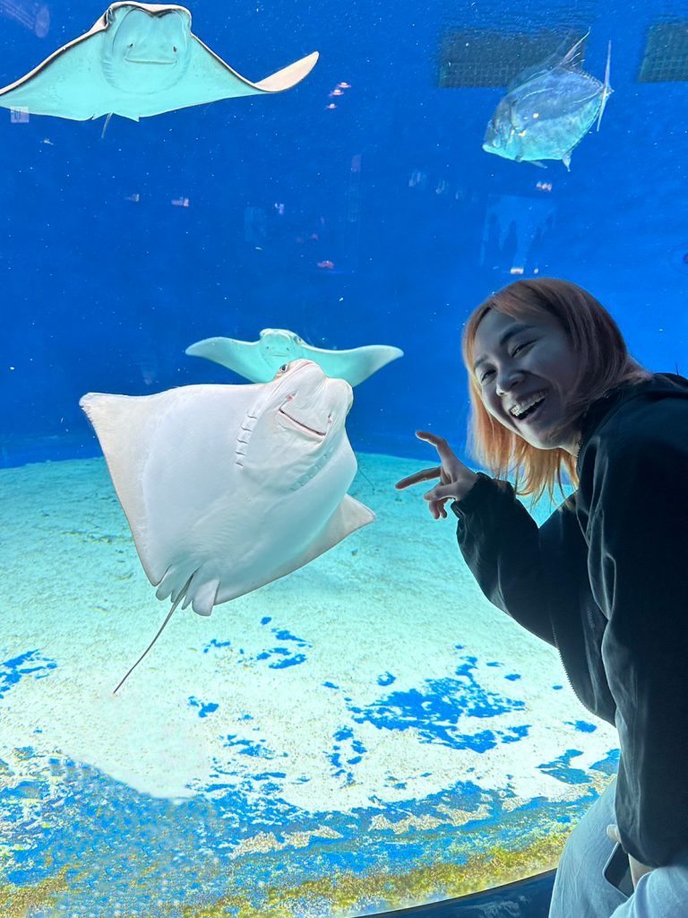 cold zone freezing, coral drive, fomosa, gloria out, gloria outlet, have fun with others, interactive, more and more jellyfish, penguin adventure, rainforest adventure, taoyuan, virtual and real interaction, walk in the jungle, warm sea vitality, xcafe by pronto, xfun, xpark, xpark aquarium, การแสดงโชว์สัตว์ไต้หวัน, ขนมปังเพนกวิน, ตู้แมงกระพรุน, ที่เที่ยวไต้หวัน, ที่เที่ยวไต้หวัน 2024, ที่เที่ยวไต้หวัน 2567, พิพิธภัณฑ์สัตว์น้ำ, พิพิธภัณฑ์สัตว์น้ำไต้หวัน, สนามบินเถาหยวน, อควาเรี่ยมไต้หวัน, เถาหยวน, เที่ยวไต้หวัน, เที่ยวไต้หวัน 2024, เที่ยวไต้หวัน 2567, เพนกวินลาเต้, แมงกระพรุนไต้หวัน, โชว์สิงโตทะเล, ไต้หวันเที่ยวไหนดี, พาเที่ยว xpark aquarium ไต้หวัน 2024 ชมสัตว์น้ำนานาชนิดและล่องลอยไปกับห้องแมงกระพรุน