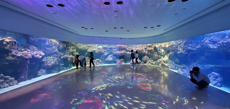 cold zone freezing, coral drive, fomosa, gloria out, gloria outlet, have fun with others, interactive, more and more jellyfish, penguin adventure, rainforest adventure, taoyuan, virtual and real interaction, walk in the jungle, warm sea vitality, xcafe by pronto, xfun, xpark, xpark aquarium, การแสดงโชว์สัตว์ไต้หวัน, ขนมปังเพนกวิน, ตู้แมงกระพรุน, ที่เที่ยวไต้หวัน, ที่เที่ยวไต้หวัน 2024, ที่เที่ยวไต้หวัน 2567, พิพิธภัณฑ์สัตว์น้ำ, พิพิธภัณฑ์สัตว์น้ำไต้หวัน, สนามบินเถาหยวน, อควาเรี่ยมไต้หวัน, เถาหยวน, เที่ยวไต้หวัน, เที่ยวไต้หวัน 2024, เที่ยวไต้หวัน 2567, เพนกวินลาเต้, แมงกระพรุนไต้หวัน, โชว์สิงโตทะเล, ไต้หวันเที่ยวไหนดี, พาเที่ยว xpark aquarium ไต้หวัน 2024 ชมสัตว์น้ำนานาชนิดและล่องลอยไปกับห้องแมงกระพรุน