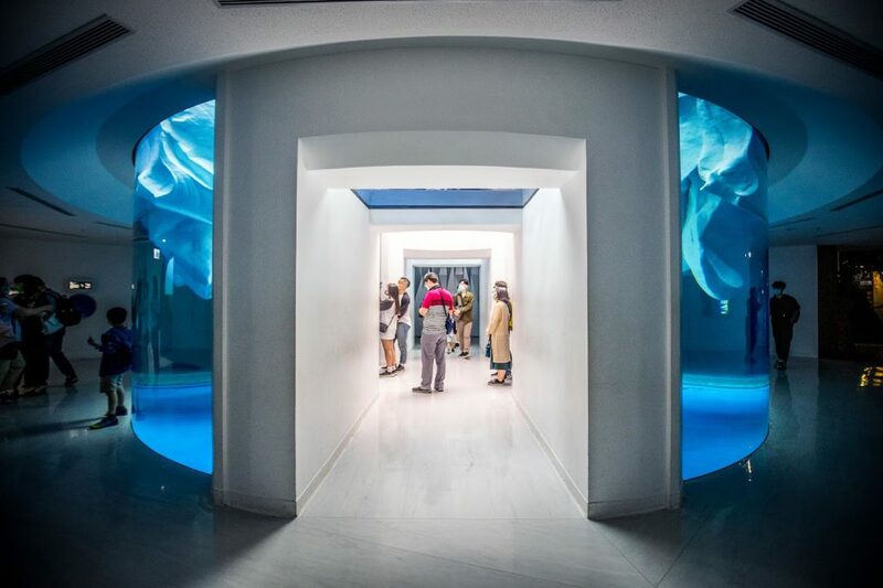 cold zone freezing, coral drive, fomosa, gloria out, gloria outlet, have fun with others, interactive, more and more jellyfish, penguin adventure, rainforest adventure, taoyuan, virtual and real interaction, walk in the jungle, warm sea vitality, xcafe by pronto, xfun, xpark, xpark aquarium, การแสดงโชว์สัตว์ไต้หวัน, ขนมปังเพนกวิน, ตู้แมงกระพรุน, ที่เที่ยวไต้หวัน, ที่เที่ยวไต้หวัน 2024, ที่เที่ยวไต้หวัน 2567, พิพิธภัณฑ์สัตว์น้ำ, พิพิธภัณฑ์สัตว์น้ำไต้หวัน, สนามบินเถาหยวน, อควาเรี่ยมไต้หวัน, เถาหยวน, เที่ยวไต้หวัน, เที่ยวไต้หวัน 2024, เที่ยวไต้หวัน 2567, เพนกวินลาเต้, แมงกระพรุนไต้หวัน, โชว์สิงโตทะเล, ไต้หวันเที่ยวไหนดี, พาเที่ยว xpark aquarium ไต้หวัน 2024 ชมสัตว์น้ำนานาชนิดและล่องลอยไปกับห้องแมงกระพรุน