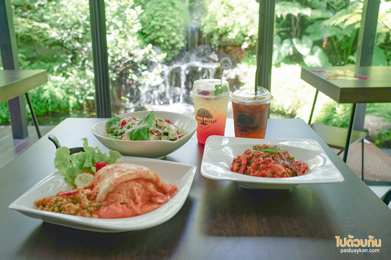 forest presso คาเฟ่สีเขียว ท่ามกลางสวนป่า ใจกลางกรุง