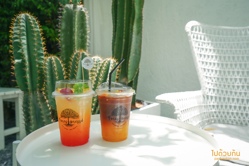 forest presso คาเฟ่สีเขียว ท่ามกลางสวนป่า ใจกลางกรุง