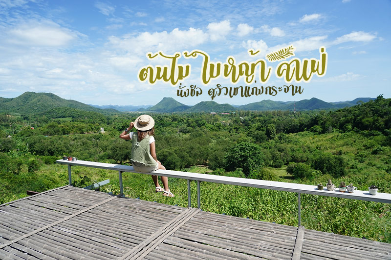 ต้นไม้ใบหญ้า แก่งกระจาน นั่งชิล ชมวิวเขา