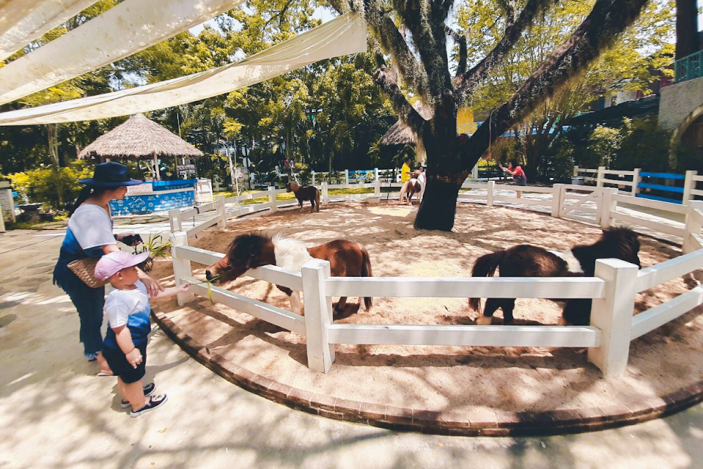 alpaca hill, camping field สวนผึ้ง, coro field, highland สวนผึ้ง, moai coffee, new land สวนผึ้ง, the camping field, the scenery vintage farm, veneto, veneto สวนผึ้ง, จุดชมวิวห้วยคอกหมู, จุดชมวิวเขากระโจม, ชิราคาวาโกะ คาเฟ่, ชิราคาวาโกะ สวนผึ้ง, ตลาดห้วยน้ำใส, ตลาดเช้าริมธาร, ตลาดเช้าริมธาร สวนผึ้ง, ตลาดโอ๊ะป่อย, ที่เที่ยวสวนผึ้ง, ที่เที่ยวสวนผึ้ง 2023, ที่เที่ยวสวนผึ้ง 2024, ที่เที่ยวสวนผึ้ง 2567, ธารน้ำร้อนบ่อคลึง, น้ำตกเก้าชั้น, น้ำตกเก้าโจน, นิวแลนด์ สวนผึ้ง, บ้านมอญห้วยน้ำใส, บ้านหอมเทียน, ราชบุรี, วอเตอร์ปาร์ค สวนผึ้ง, สวนป่าสิริกิตติ์, สวนผึ้ง, สวนผึ้งไฮแลนด์, สวนเลม่อน พสุธารา, สวนเลม่อน สวนผึ้ง, ห้วยคอกหมู, อัลปาก้า ฮิลล์, เขากระโจม, เดอะ ซีนเนอร์รี่ วินเทจ ฟาร์ม, เดอะรีสอร์ท วอเตอร์ปาร์ค, เที่ยวสวนผึ้ง, เที่ยวสวนผึ้ง 2024, เที่ยวสวนผึ้ง 2567, เวเนโต้ สวนผึ้ง, แก่งส้มแมว, โคโร่ ฟิลด์, โมไอ สวนผึ้ง, ไร่องุ่นมีสุข, ไร่องุ่นมีสุข สวนผึ้ง, top 20+ ที่เที่ยวสวนผึ้ง [กรกฎาคม 2024] สัมผัสธรรมชาติ ท่ามกลางหุบเขา จังหวัดราชบุรี