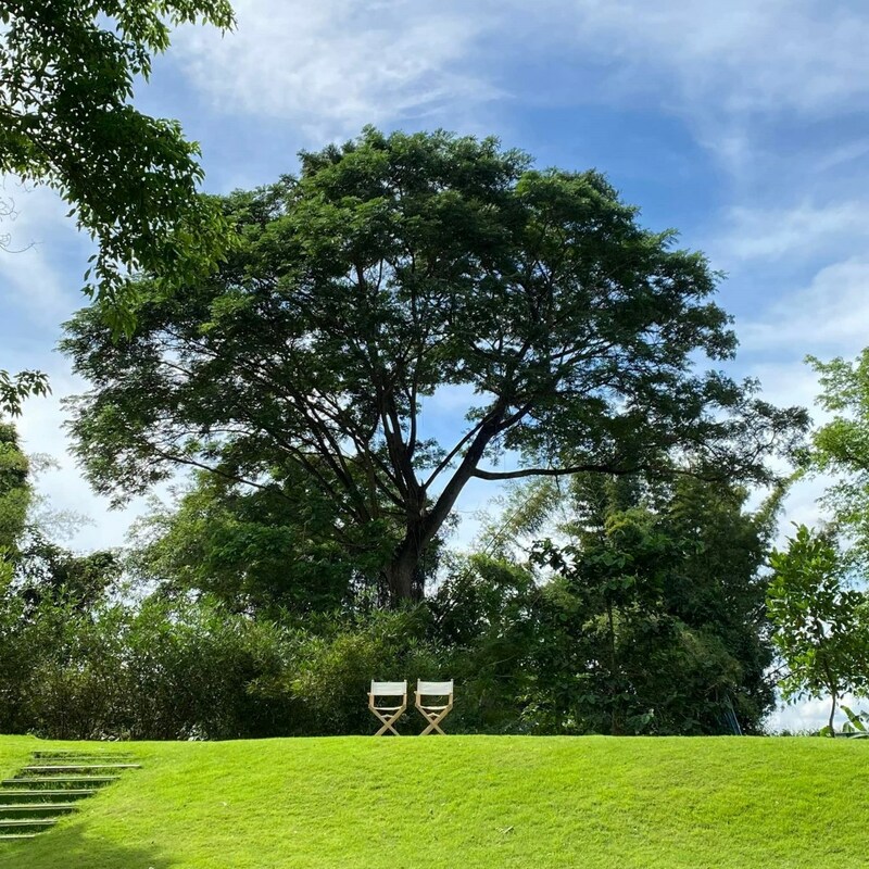alpaca hill, camping field สวนผึ้ง, coro field, highland สวนผึ้ง, moai coffee, new land สวนผึ้ง, the camping field, the scenery vintage farm, veneto, veneto สวนผึ้ง, จุดชมวิวห้วยคอกหมู, จุดชมวิวเขากระโจม, ชิราคาวาโกะ คาเฟ่, ชิราคาวาโกะ สวนผึ้ง, ตลาดห้วยน้ำใส, ตลาดเช้าริมธาร, ตลาดเช้าริมธาร สวนผึ้ง, ตลาดโอ๊ะป่อย, ที่เที่ยวสวนผึ้ง, ที่เที่ยวสวนผึ้ง 2023, ที่เที่ยวสวนผึ้ง 2024, ที่เที่ยวสวนผึ้ง 2567, ธารน้ำร้อนบ่อคลึง, น้ำตกเก้าชั้น, น้ำตกเก้าโจน, นิวแลนด์ สวนผึ้ง, บ้านมอญห้วยน้ำใส, บ้านหอมเทียน, ราชบุรี, วอเตอร์ปาร์ค สวนผึ้ง, สวนป่าสิริกิตติ์, สวนผึ้ง, สวนผึ้งไฮแลนด์, สวนเลม่อน พสุธารา, สวนเลม่อน สวนผึ้ง, ห้วยคอกหมู, อัลปาก้า ฮิลล์, เขากระโจม, เดอะ ซีนเนอร์รี่ วินเทจ ฟาร์ม, เดอะรีสอร์ท วอเตอร์ปาร์ค, เที่ยวสวนผึ้ง, เที่ยวสวนผึ้ง 2024, เที่ยวสวนผึ้ง 2567, เวเนโต้ สวนผึ้ง, แก่งส้มแมว, โคโร่ ฟิลด์, โมไอ สวนผึ้ง, ไร่องุ่นมีสุข, ไร่องุ่นมีสุข สวนผึ้ง, top 20+ ที่เที่ยวสวนผึ้ง [กรกฎาคม 2024] สัมผัสธรรมชาติ ท่ามกลางหุบเขา จังหวัดราชบุรี
