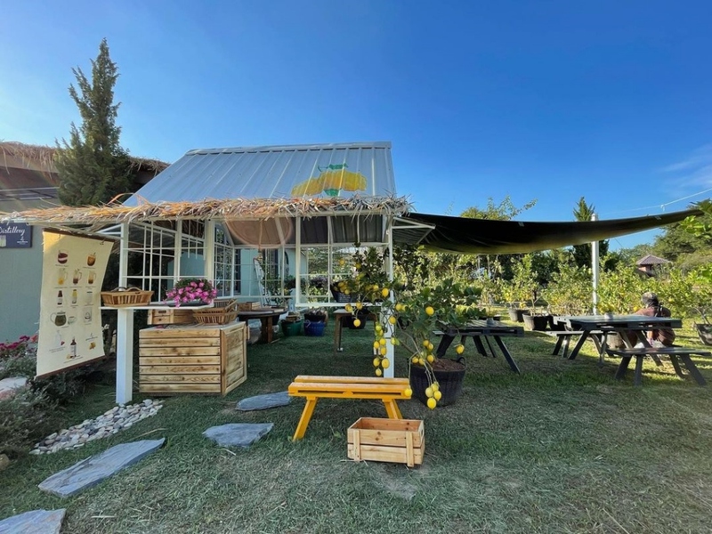 alpaca hill, camping field สวนผึ้ง, coro field, highland สวนผึ้ง, moai coffee, new land สวนผึ้ง, the camping field, the scenery vintage farm, veneto, veneto สวนผึ้ง, จุดชมวิวห้วยคอกหมู, จุดชมวิวเขากระโจม, ชิราคาวาโกะ คาเฟ่, ชิราคาวาโกะ สวนผึ้ง, ตลาดห้วยน้ำใส, ตลาดเช้าริมธาร, ตลาดเช้าริมธาร สวนผึ้ง, ตลาดโอ๊ะป่อย, ที่เที่ยวสวนผึ้ง, ที่เที่ยวสวนผึ้ง 2023, ที่เที่ยวสวนผึ้ง 2024, ที่เที่ยวสวนผึ้ง 2567, ธารน้ำร้อนบ่อคลึง, น้ำตกเก้าชั้น, น้ำตกเก้าโจน, นิวแลนด์ สวนผึ้ง, บ้านมอญห้วยน้ำใส, บ้านหอมเทียน, ราชบุรี, วอเตอร์ปาร์ค สวนผึ้ง, สวนป่าสิริกิตติ์, สวนผึ้ง, สวนผึ้งไฮแลนด์, สวนเลม่อน พสุธารา, สวนเลม่อน สวนผึ้ง, ห้วยคอกหมู, อัลปาก้า ฮิลล์, เขากระโจม, เดอะ ซีนเนอร์รี่ วินเทจ ฟาร์ม, เดอะรีสอร์ท วอเตอร์ปาร์ค, เที่ยวสวนผึ้ง, เที่ยวสวนผึ้ง 2024, เที่ยวสวนผึ้ง 2567, เวเนโต้ สวนผึ้ง, แก่งส้มแมว, โคโร่ ฟิลด์, โมไอ สวนผึ้ง, ไร่องุ่นมีสุข, ไร่องุ่นมีสุข สวนผึ้ง, top 20+ ที่เที่ยวสวนผึ้ง [กรกฎาคม 2024] สัมผัสธรรมชาติ ท่ามกลางหุบเขา จังหวัดราชบุรี