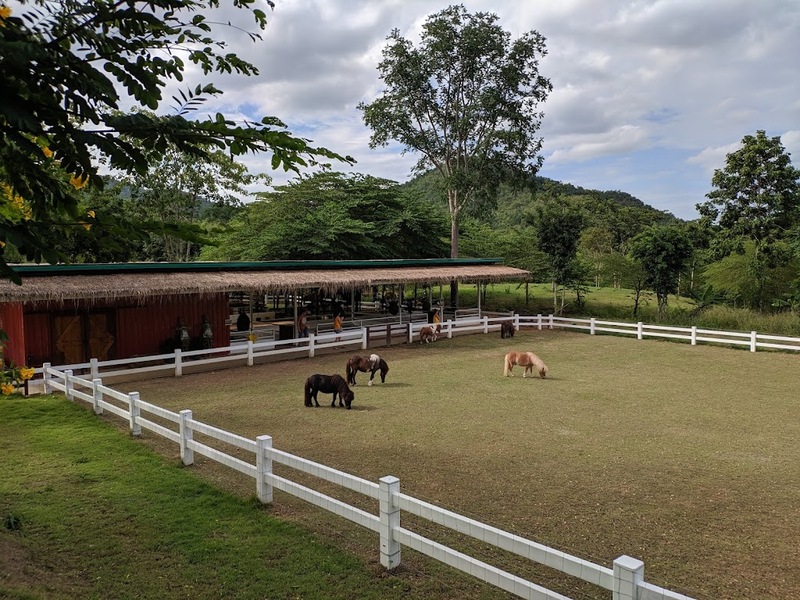 alpaca hill, camping field สวนผึ้ง, coro field, highland สวนผึ้ง, moai coffee, new land สวนผึ้ง, the camping field, the scenery vintage farm, veneto, veneto สวนผึ้ง, จุดชมวิวห้วยคอกหมู, จุดชมวิวเขากระโจม, ชิราคาวาโกะ คาเฟ่, ชิราคาวาโกะ สวนผึ้ง, ตลาดห้วยน้ำใส, ตลาดเช้าริมธาร, ตลาดเช้าริมธาร สวนผึ้ง, ตลาดโอ๊ะป่อย, ที่เที่ยวสวนผึ้ง, ที่เที่ยวสวนผึ้ง 2023, ที่เที่ยวสวนผึ้ง 2024, ที่เที่ยวสวนผึ้ง 2567, ธารน้ำร้อนบ่อคลึง, น้ำตกเก้าชั้น, น้ำตกเก้าโจน, นิวแลนด์ สวนผึ้ง, บ้านมอญห้วยน้ำใส, บ้านหอมเทียน, ราชบุรี, วอเตอร์ปาร์ค สวนผึ้ง, สวนป่าสิริกิตติ์, สวนผึ้ง, สวนผึ้งไฮแลนด์, สวนเลม่อน พสุธารา, สวนเลม่อน สวนผึ้ง, ห้วยคอกหมู, อัลปาก้า ฮิลล์, เขากระโจม, เดอะ ซีนเนอร์รี่ วินเทจ ฟาร์ม, เดอะรีสอร์ท วอเตอร์ปาร์ค, เที่ยวสวนผึ้ง, เที่ยวสวนผึ้ง 2024, เที่ยวสวนผึ้ง 2567, เวเนโต้ สวนผึ้ง, แก่งส้มแมว, โคโร่ ฟิลด์, โมไอ สวนผึ้ง, ไร่องุ่นมีสุข, ไร่องุ่นมีสุข สวนผึ้ง, top 20+ ที่เที่ยวสวนผึ้ง [กรกฎาคม 2024] สัมผัสธรรมชาติ ท่ามกลางหุบเขา จังหวัดราชบุรี