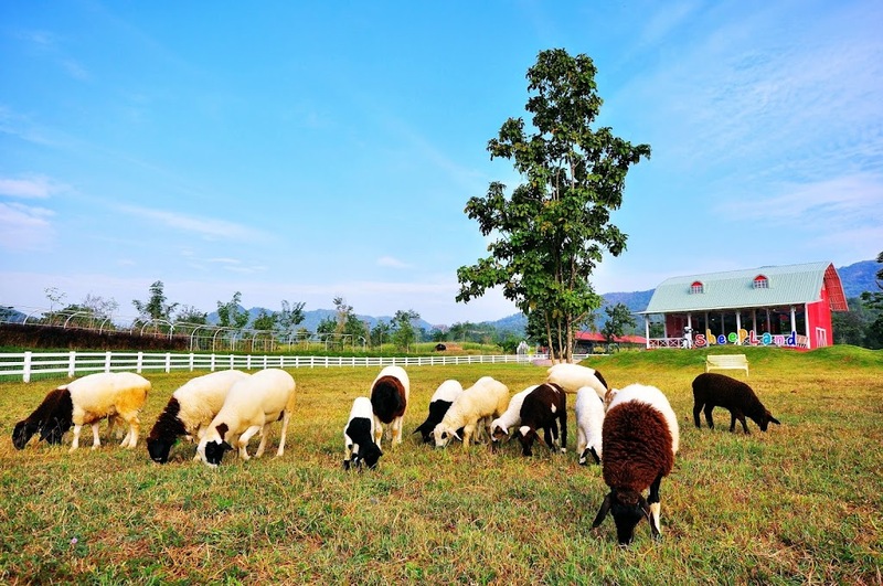 alpaca hill, camping field สวนผึ้ง, coro field, highland สวนผึ้ง, moai coffee, new land สวนผึ้ง, the camping field, the scenery vintage farm, veneto, veneto สวนผึ้ง, จุดชมวิวห้วยคอกหมู, จุดชมวิวเขากระโจม, ชิราคาวาโกะ คาเฟ่, ชิราคาวาโกะ สวนผึ้ง, ตลาดห้วยน้ำใส, ตลาดเช้าริมธาร, ตลาดเช้าริมธาร สวนผึ้ง, ตลาดโอ๊ะป่อย, ที่เที่ยวสวนผึ้ง, ที่เที่ยวสวนผึ้ง 2023, ที่เที่ยวสวนผึ้ง 2024, ที่เที่ยวสวนผึ้ง 2567, ธารน้ำร้อนบ่อคลึง, น้ำตกเก้าชั้น, น้ำตกเก้าโจน, นิวแลนด์ สวนผึ้ง, บ้านมอญห้วยน้ำใส, บ้านหอมเทียน, ราชบุรี, วอเตอร์ปาร์ค สวนผึ้ง, สวนป่าสิริกิตติ์, สวนผึ้ง, สวนผึ้งไฮแลนด์, สวนเลม่อน พสุธารา, สวนเลม่อน สวนผึ้ง, ห้วยคอกหมู, อัลปาก้า ฮิลล์, เขากระโจม, เดอะ ซีนเนอร์รี่ วินเทจ ฟาร์ม, เดอะรีสอร์ท วอเตอร์ปาร์ค, เที่ยวสวนผึ้ง, เที่ยวสวนผึ้ง 2024, เที่ยวสวนผึ้ง 2567, เวเนโต้ สวนผึ้ง, แก่งส้มแมว, โคโร่ ฟิลด์, โมไอ สวนผึ้ง, ไร่องุ่นมีสุข, ไร่องุ่นมีสุข สวนผึ้ง, top 20+ ที่เที่ยวสวนผึ้ง [กรกฎาคม 2024] สัมผัสธรรมชาติ ท่ามกลางหุบเขา จังหวัดราชบุรี